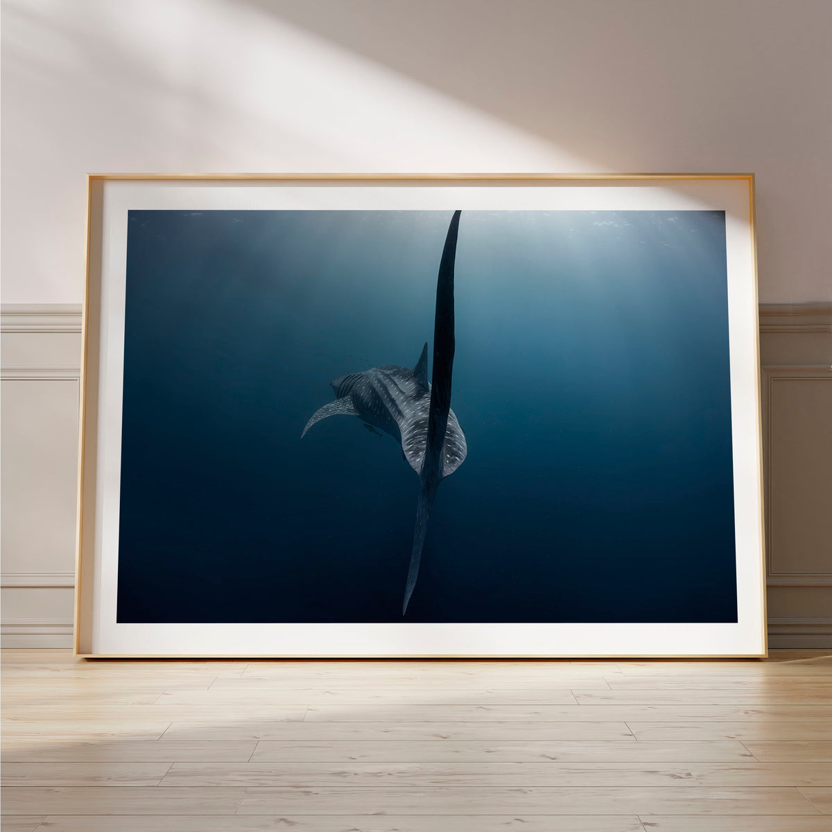 Styled preview in a wood frame on a floor: A Sharks tale — whale shark tail beneath the ocean surface.