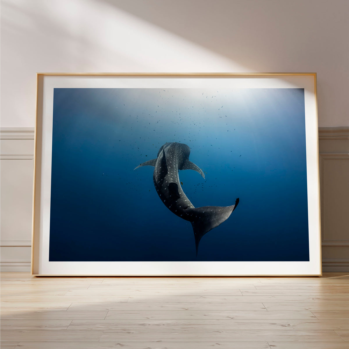 Styled preview in a wood frame on a floor: Towards the light — whale shark swimming towards sunlight.