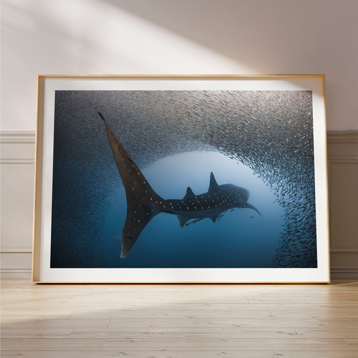 Styled preview in a wood frame on a floor: Light at the end of the tunnel — whale shark passing through a dense school of fish.