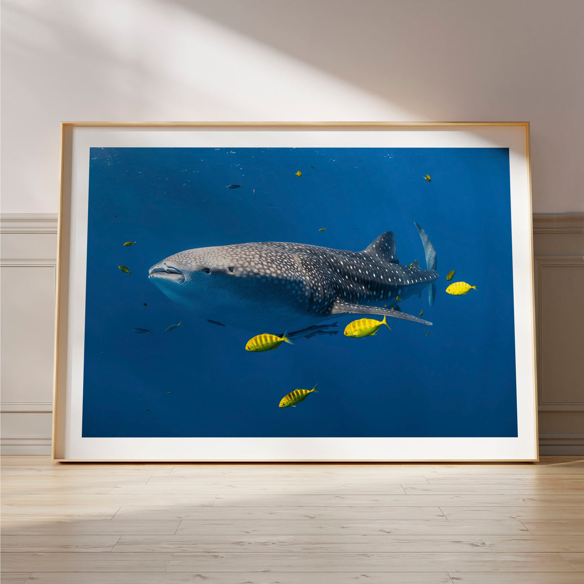 Styled preview in a wood frame on a floor: Big fish little fish — whale shark accompanied by small yellow fish.