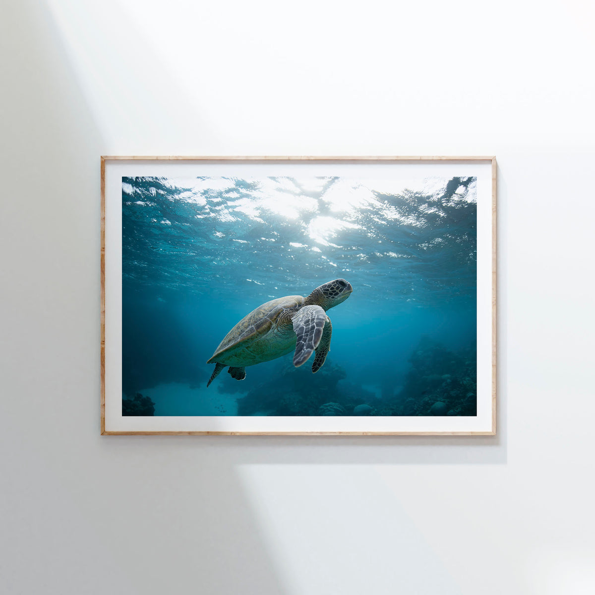 Styled preview in a wood frame on a wall: Turtle Garden — turtle swimming beneath the sunlit ocean surface.