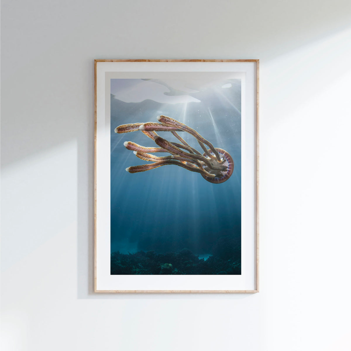 Styled preview in a wood frame on a wall: Rasta jelly — jellyfish beneath shafts of sunlight.