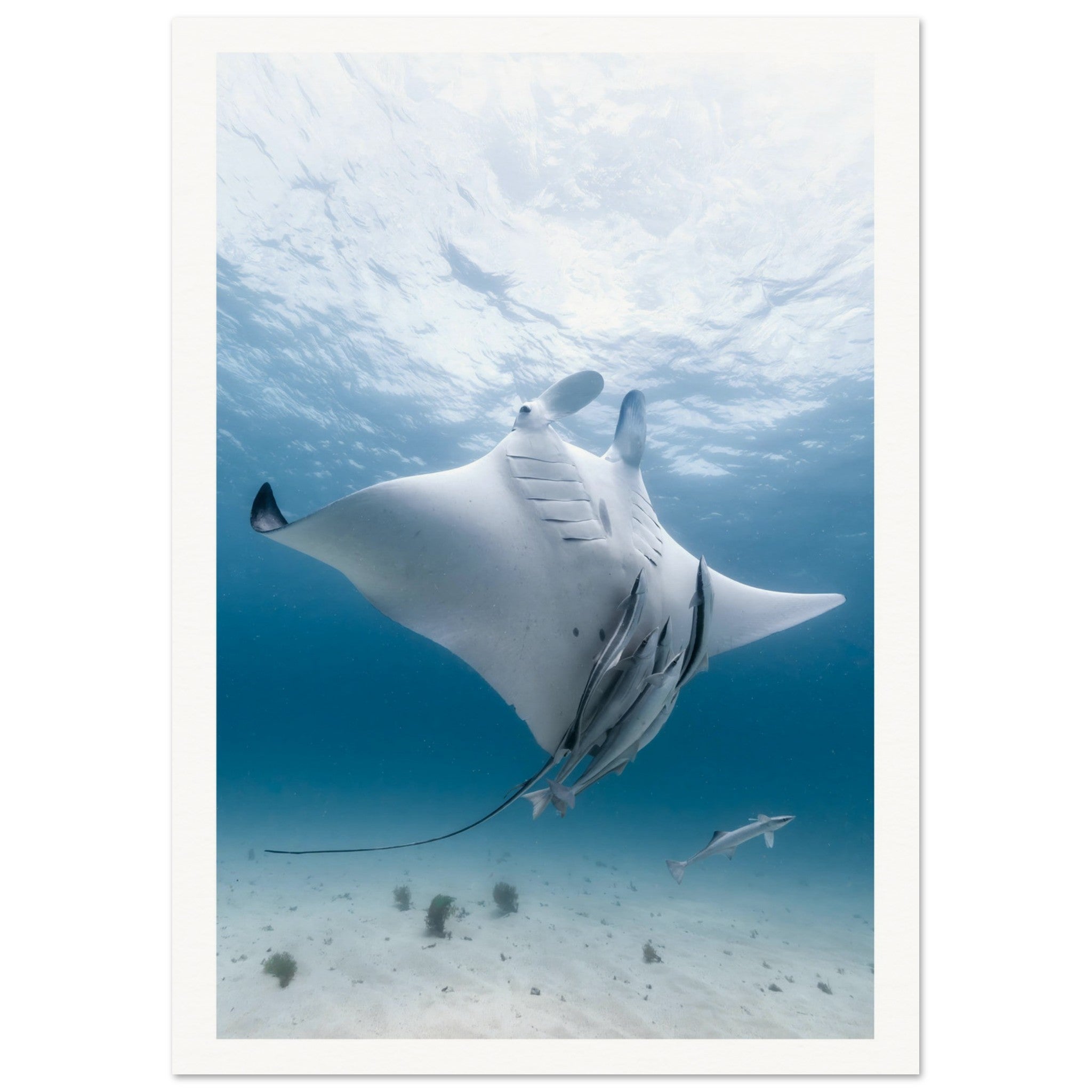 70dfd2f1-af2d-4ef6-a579-54020a7aa1e9