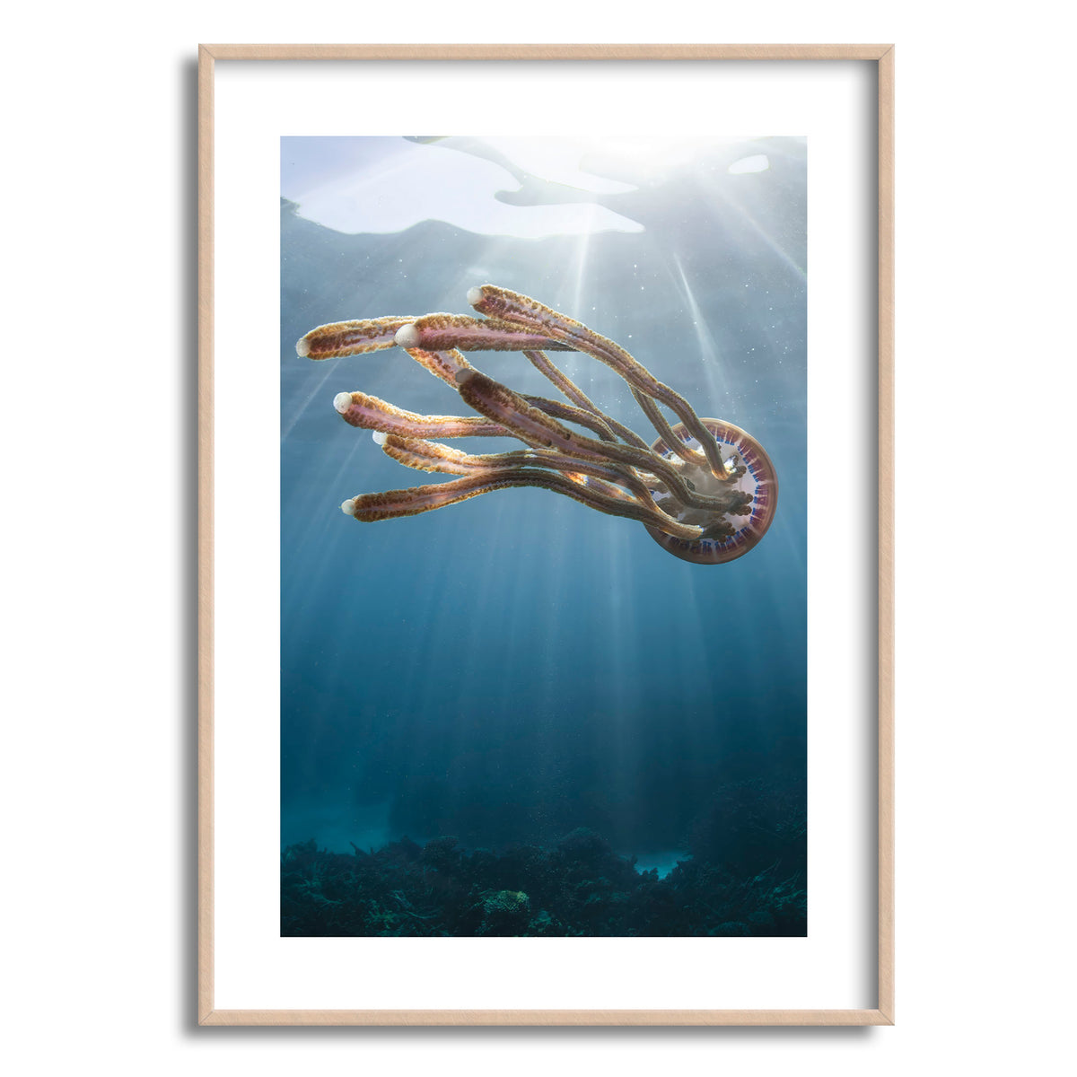Styled preview in a wood frame: Rasta jelly — jellyfish beneath shafts of sunlight.