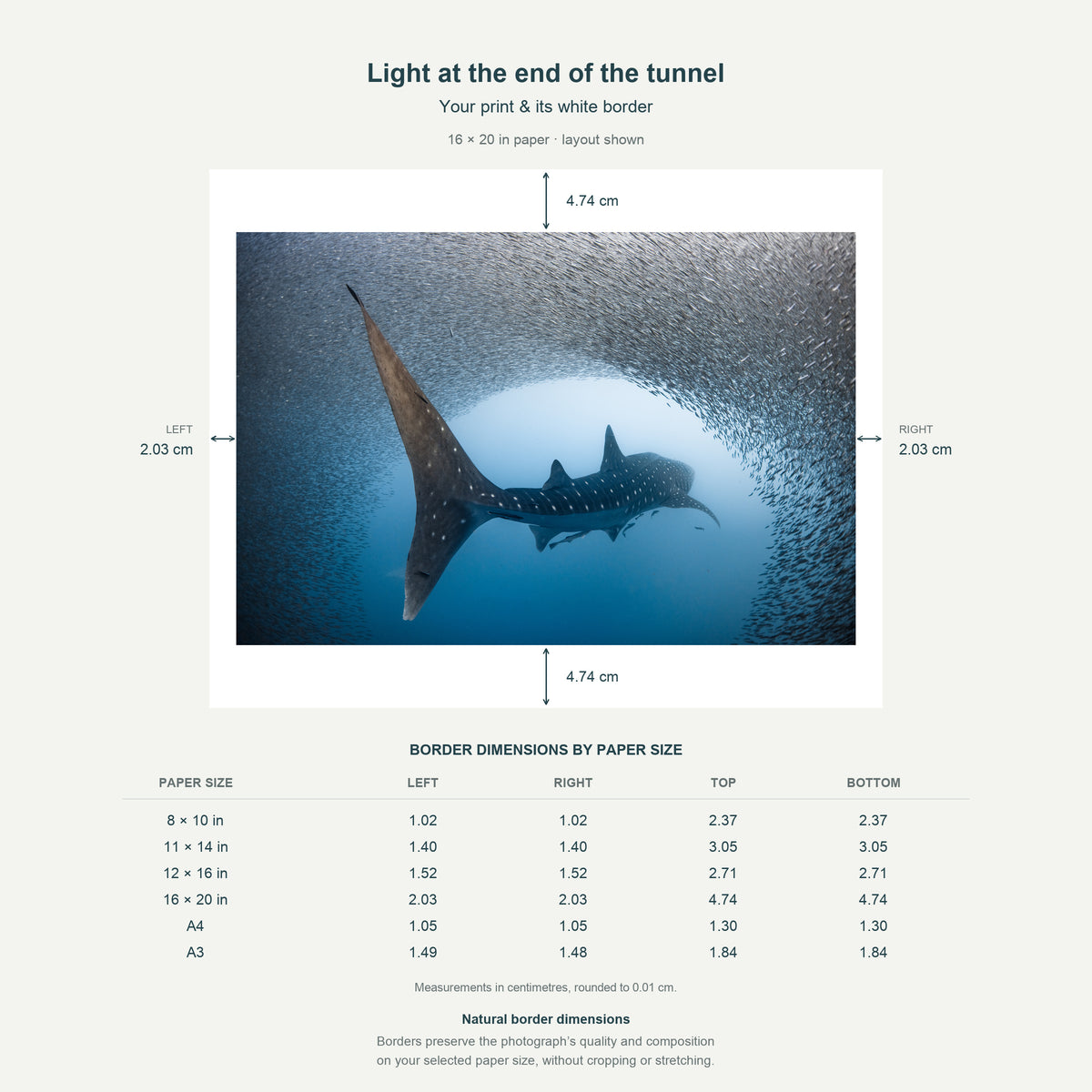 Border dimensions guide: Light at the end of the tunnel. White-border measurements for 8x10 in, 11x14 in, 12x16 in, 16x20 in, A4 21x29.7 cm, A3 29.7x42 cm.