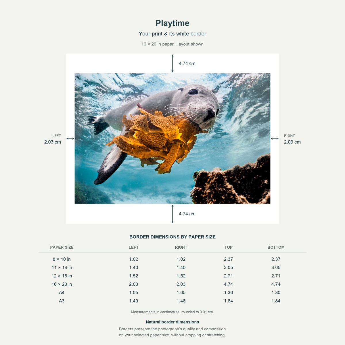 Border dimensions guide: Playtime. White-border measurements for 8x10 in, 11x14 in, 12x16 in, 16x20 in, A4 21x29.7 cm, A3 29.7x42 cm.
