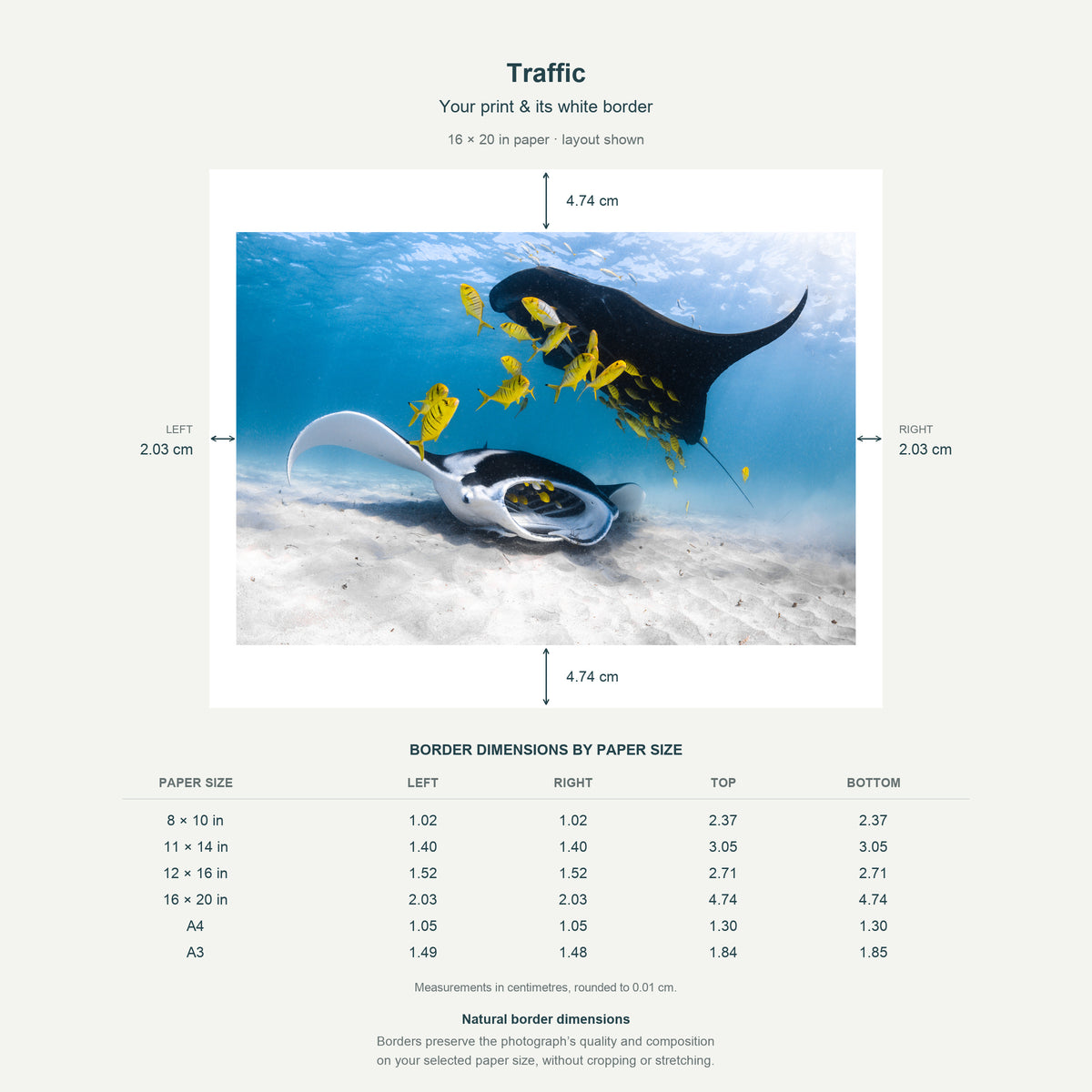 Border dimensions guide: Traffic. White-border measurements for 8x10 in, 11x14 in, 12x16 in, 16x20 in, A4 21x29.7 cm, A3 29.7x42 cm.
