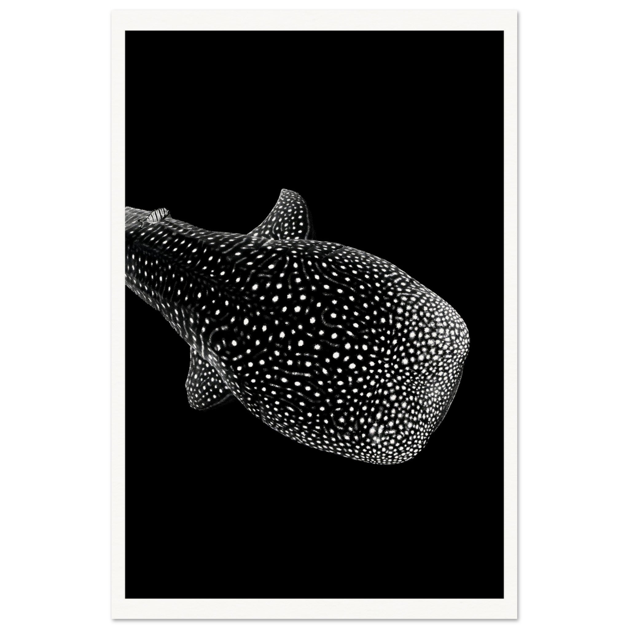 ac8a92a5-c5d8-418f-99ab-5f212a5d20ae