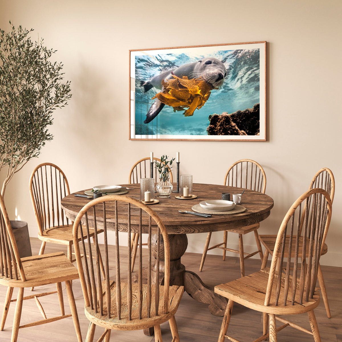 Room mockup above a dining table: Playtime — sea lion holding seaweed underwater.