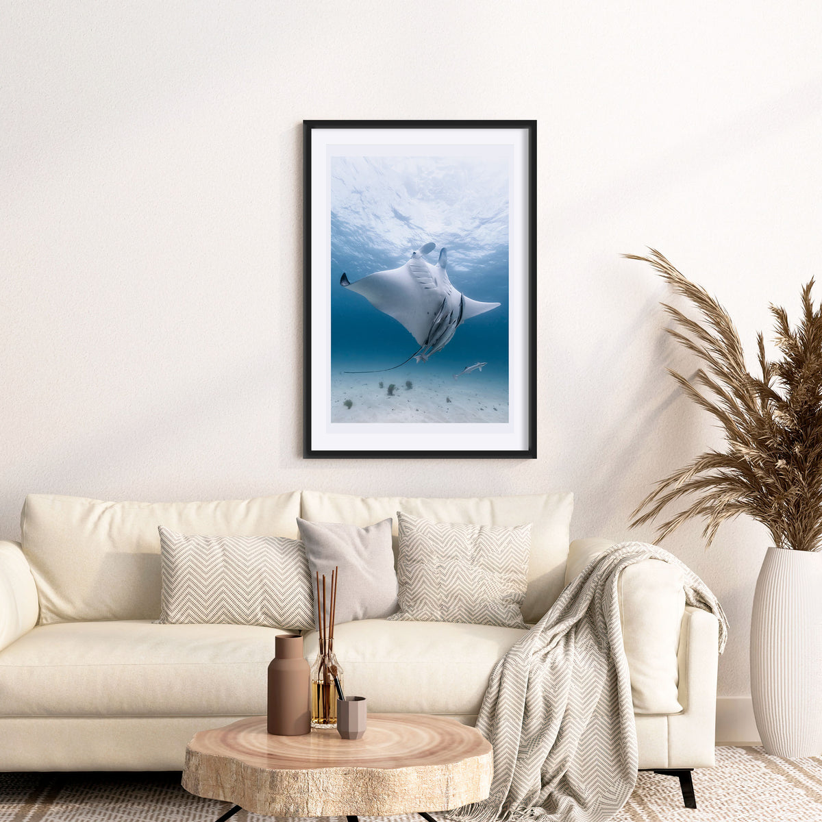 Room mockup above a sofa: Angel — manta ray viewed from below with accompanying fish.