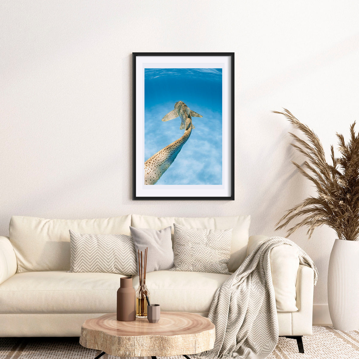 Room mockup above a sofa: Leopards tale — leopard shark swimming above a sandy seabed.