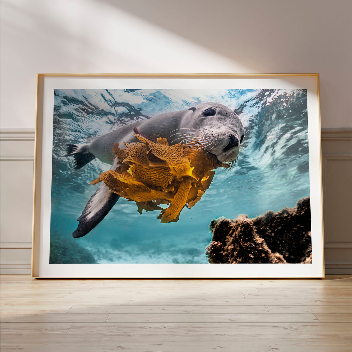 Styled preview in a wood frame on a floor: Playtime — sea lion holding seaweed underwater.