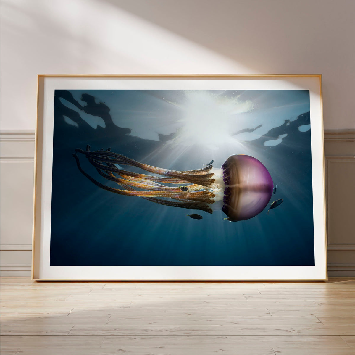 Styled preview in a wood frame on a floor: Rasta Jelly III — jellyfish with long trailing tentacles.