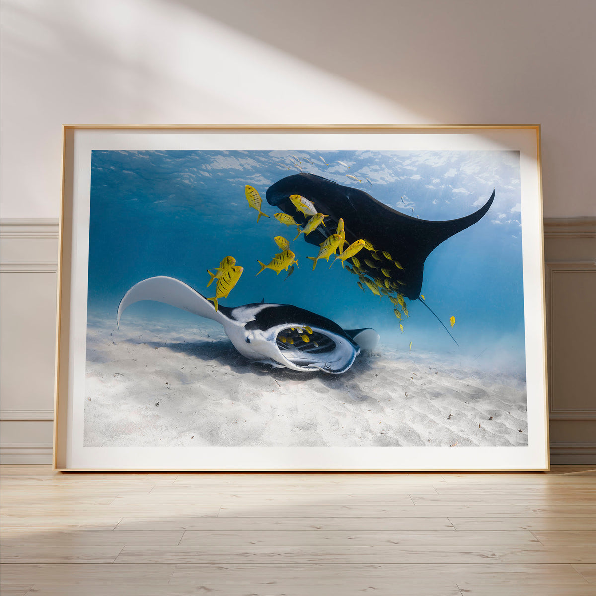 Styled preview in a wood frame on a floor: Traffic — two manta rays and yellow fish above a sandy seabed.