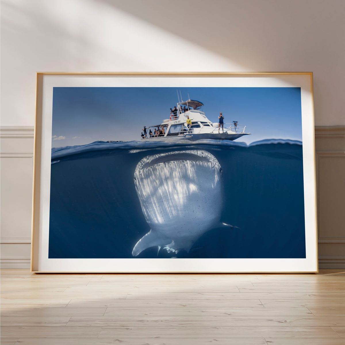 Styled preview in a wood frame on a floor: We're gonna need a bigger boat — split-level view of a whale shark beneath a boat.