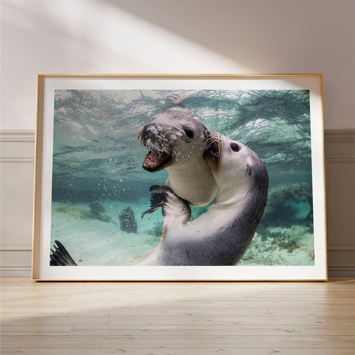Styled preview in a wood frame on a floor: Sibling love — two sea lion pups interacting underwater.