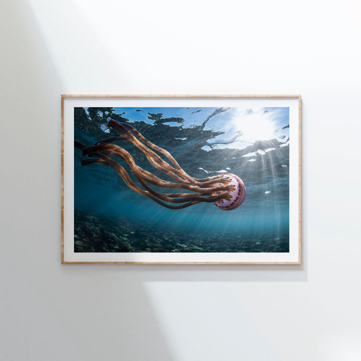 Styled preview in a wood frame on a wall: Jellyfish magic — jellyfish near the sunlit ocean surface.