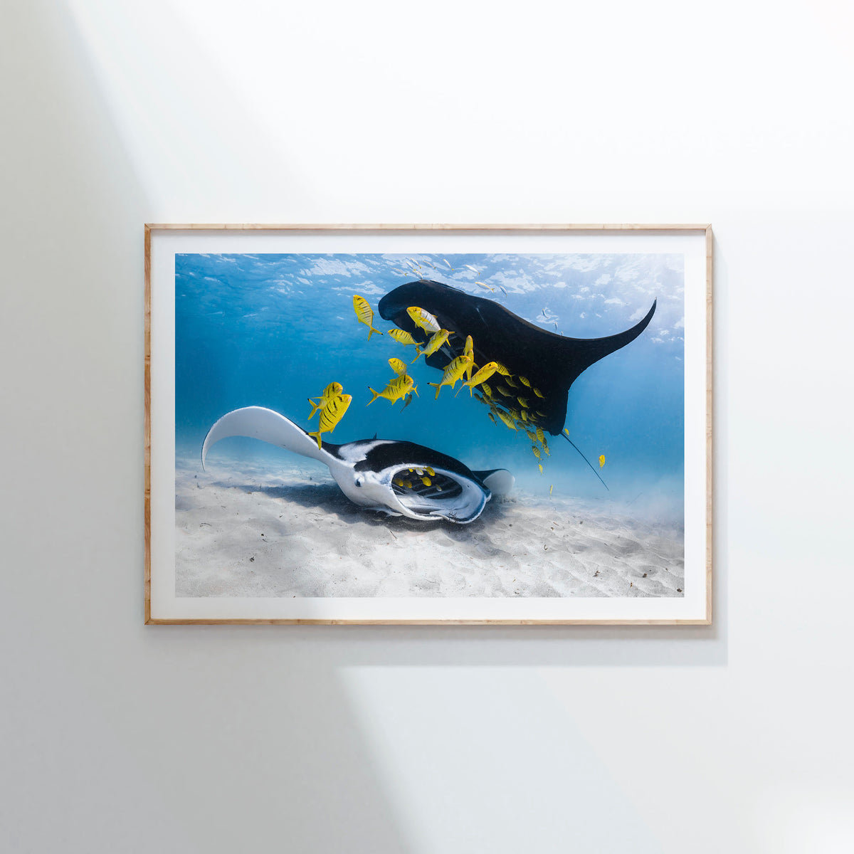 Styled preview in a wood frame on a wall: Traffic — two manta rays and yellow fish above a sandy seabed.