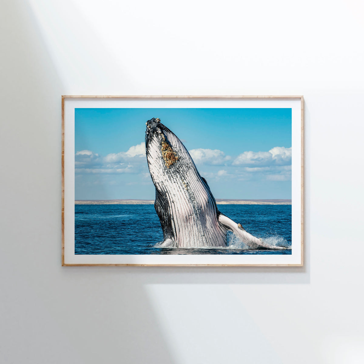 Styled preview in a wood frame on a wall: Humpback Highway — humpback whale breaching above the sea.
