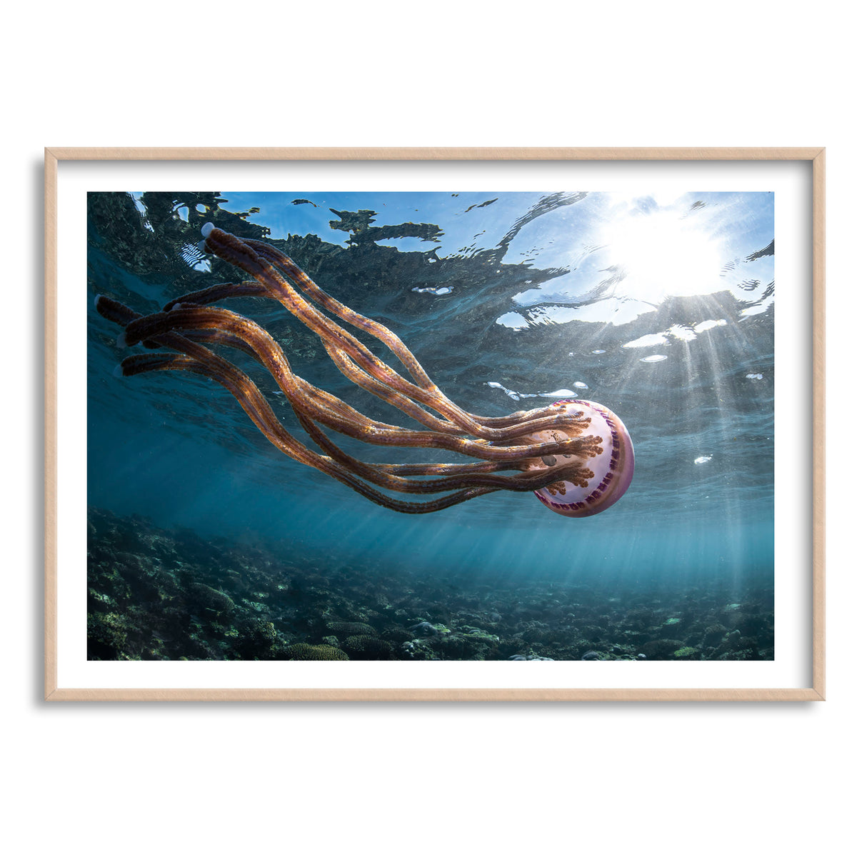 Styled preview in a wood frame: Jellyfish magic — jellyfish near the sunlit ocean surface.