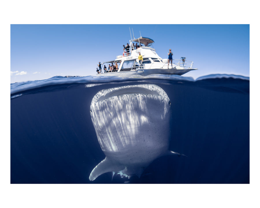 We're Gonna Need A Bigger Boat